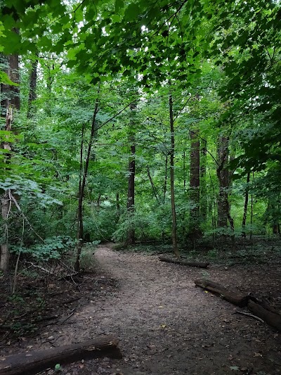 Archbold Parkway